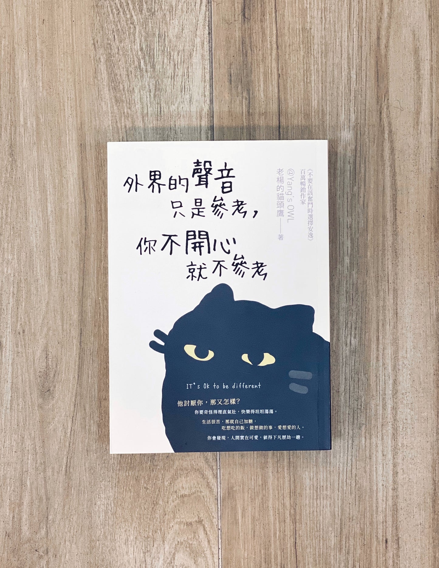 老楊的貓頭鷹 外界的聲音只是參考,你不開心就不參考