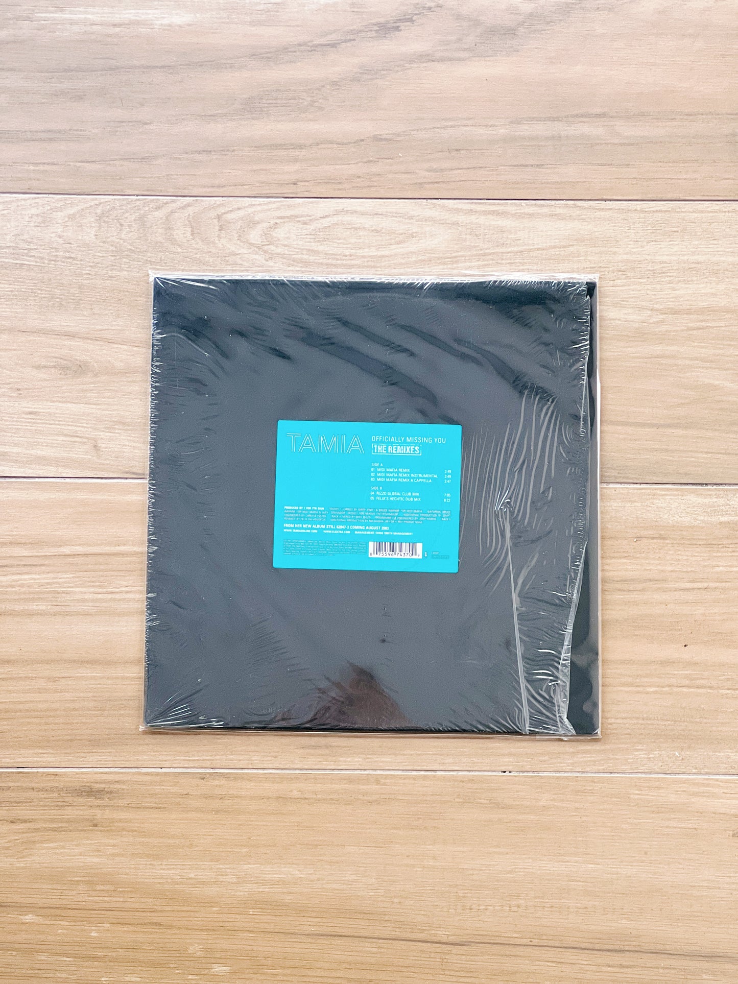 Tamia - Officially Missing You (The Remixes)