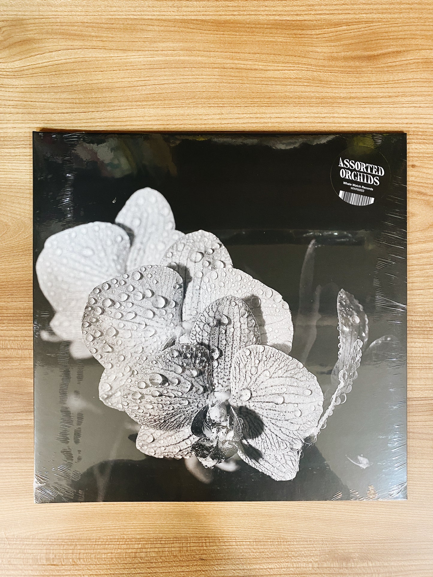 Assorted Orchids - Assorted Orchids