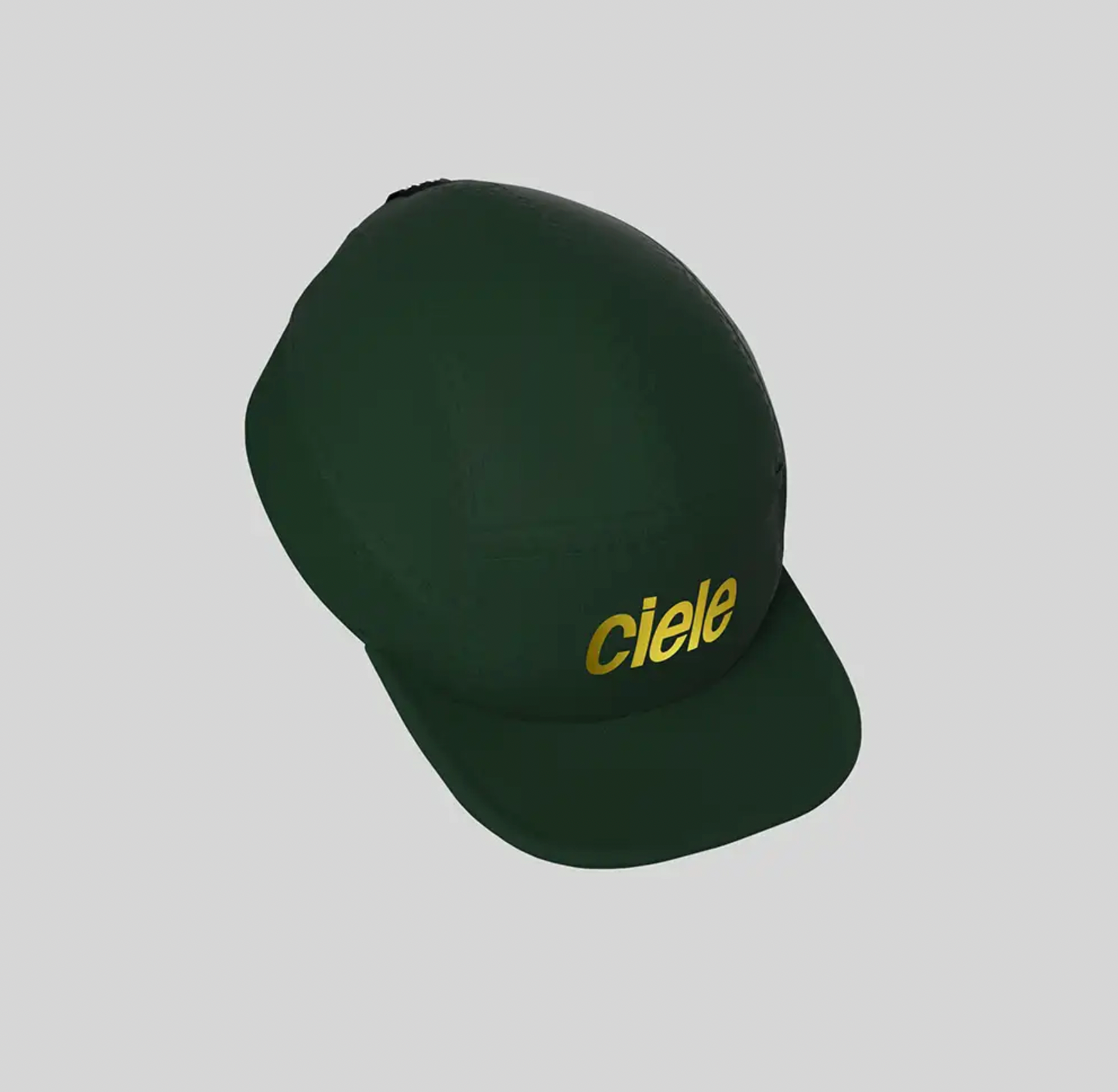 CIELE ALZCap - Standard Corp - Fortune