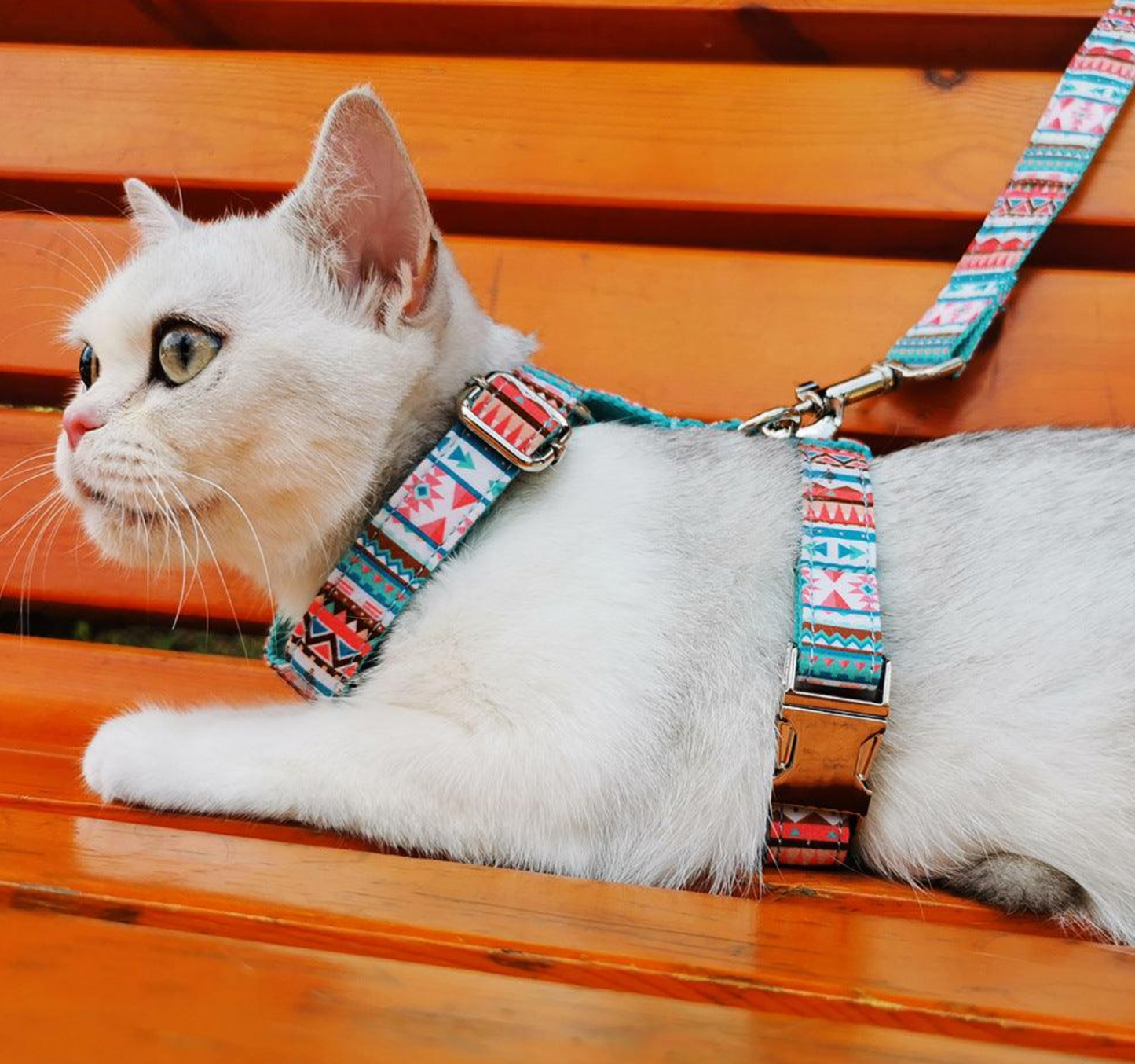 Pawsome Pets - Step in Harness (Tropical) (Bundle Set - 2 Pieces)