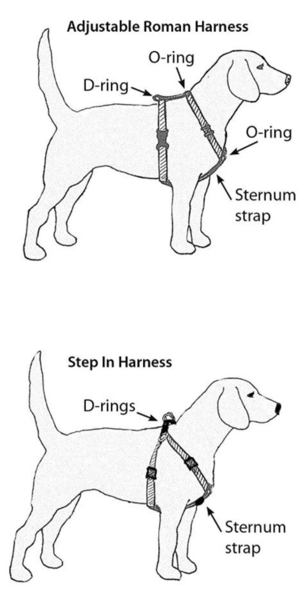 Pawsome Pets - Step in Harness (Tropical) (Bundle Set - 2 Pieces)