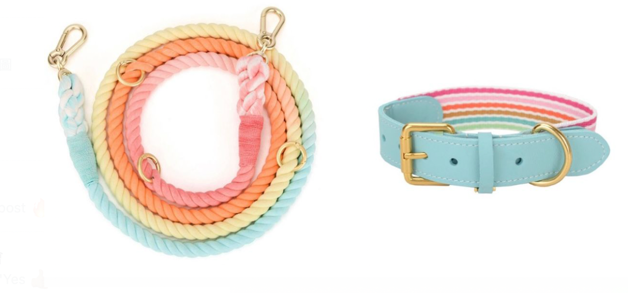 Pawsome Pets - Hands Free Rope Leash and Leather Collar Bundle (Sunset)