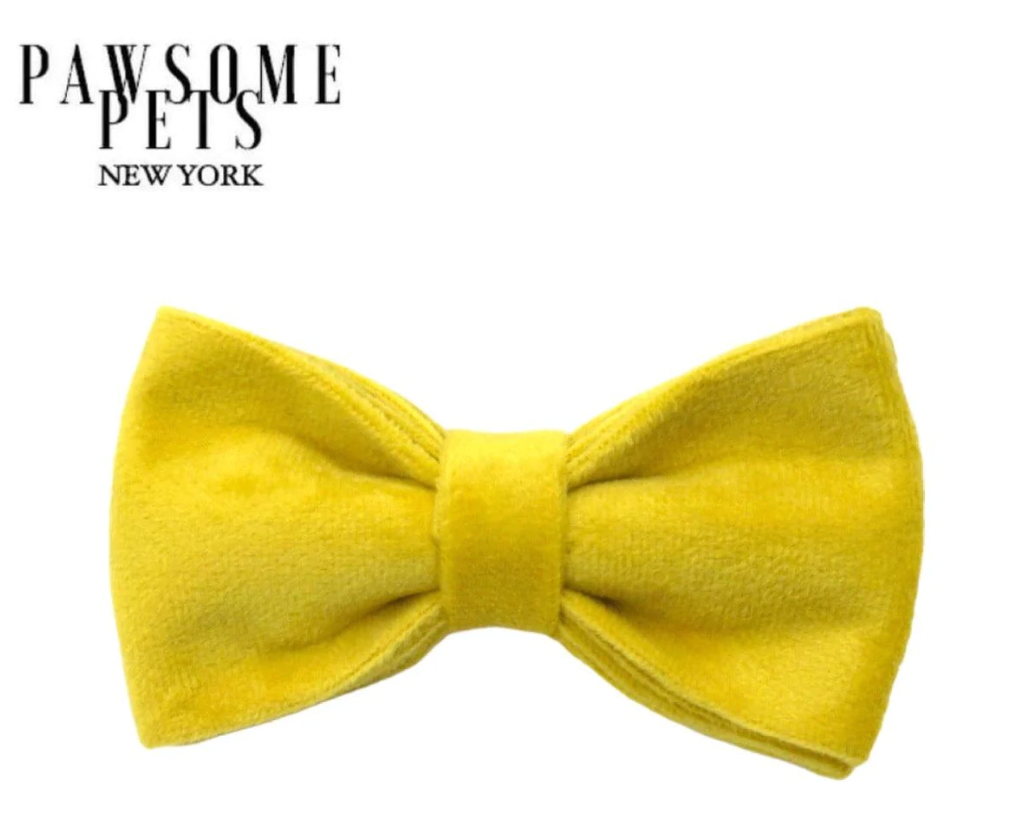 Pawsome Pets - Bowtie (Bright Yellow)