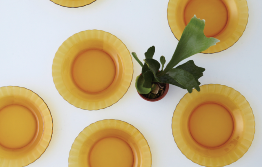 法國製 Duralex 琥珀湯盤 | Made in France Duralex Amber Calotte Soup Plate (23cm)