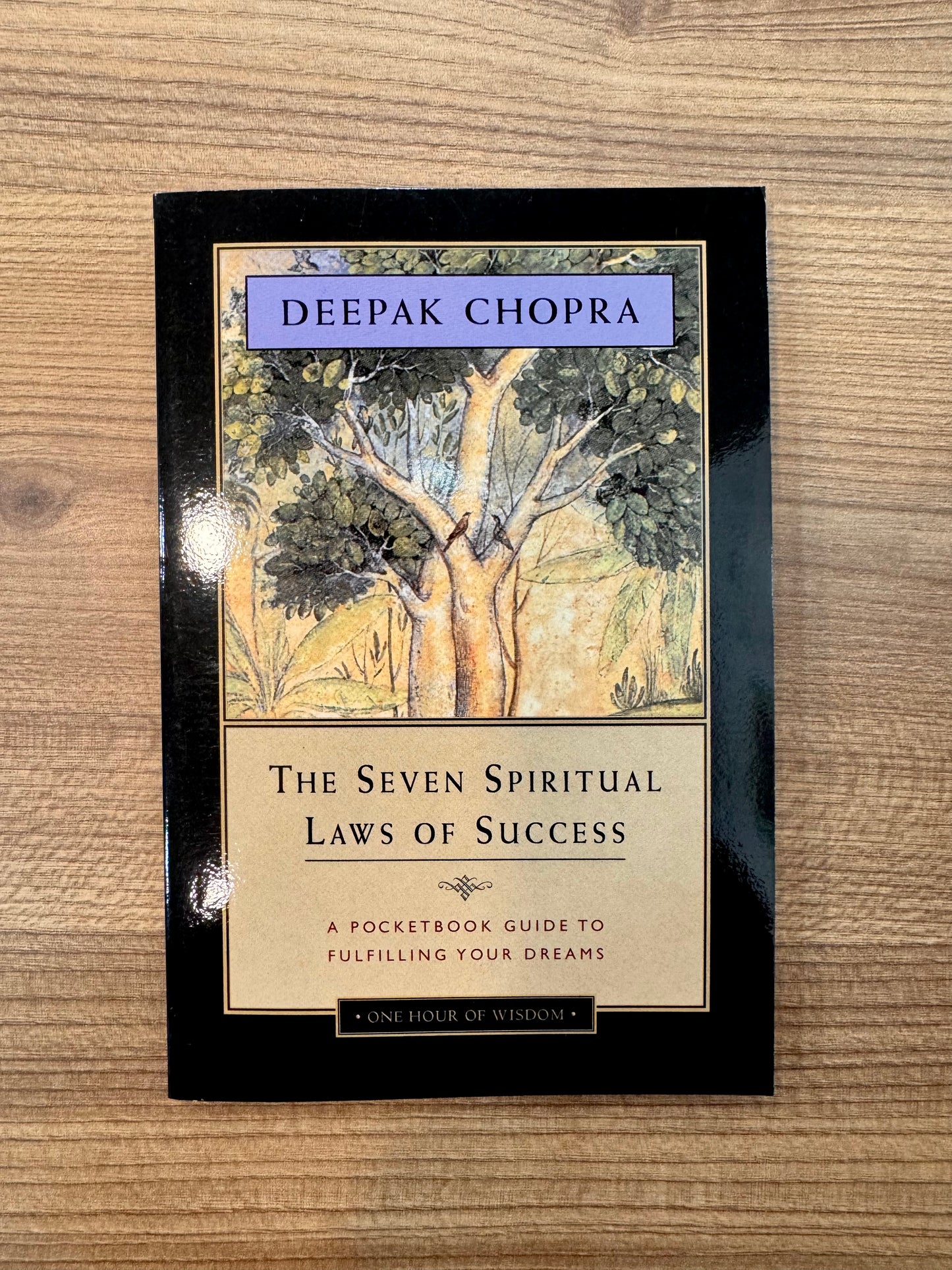 Deepak Chopra - The Seven Spiritual Laws of Success: A Practical Guide to the Fulfillment of Your Dreams