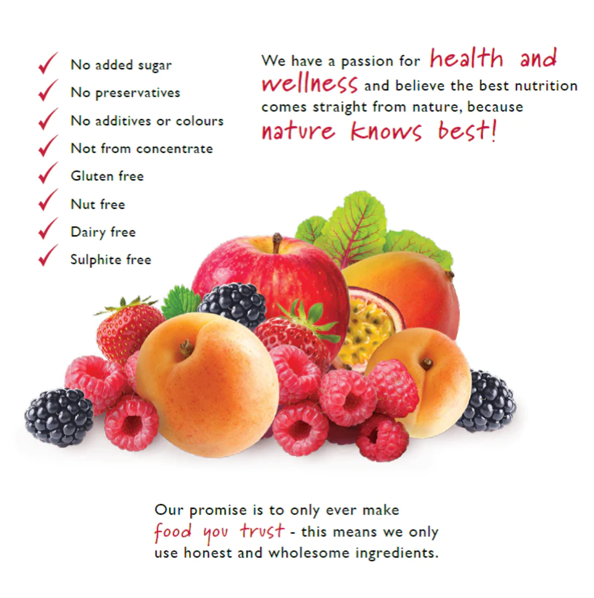 Annies food you trust 100% 水果條 20g - 蘋果樹莓 | Fruit Bar - Apple and Raspberry 20g