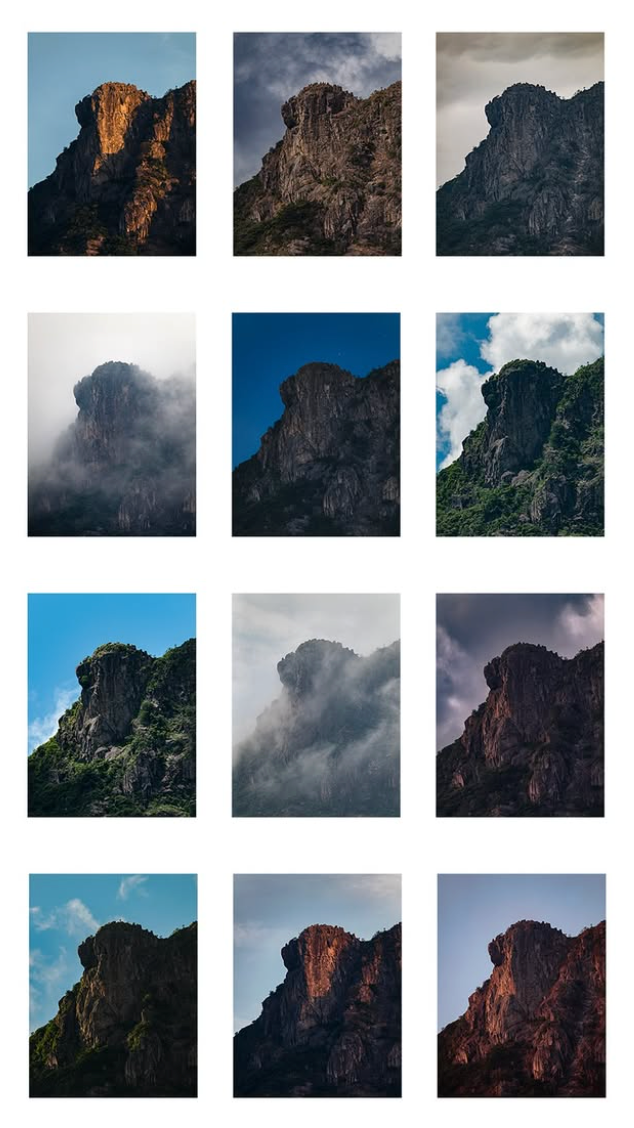 The Wildog | 四季獅子山 海報月曆