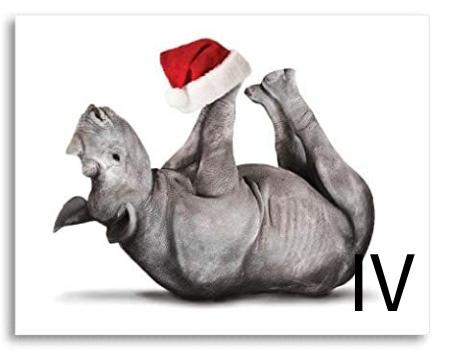 Christmas Cards 聖誕卡 - Yoga Animals