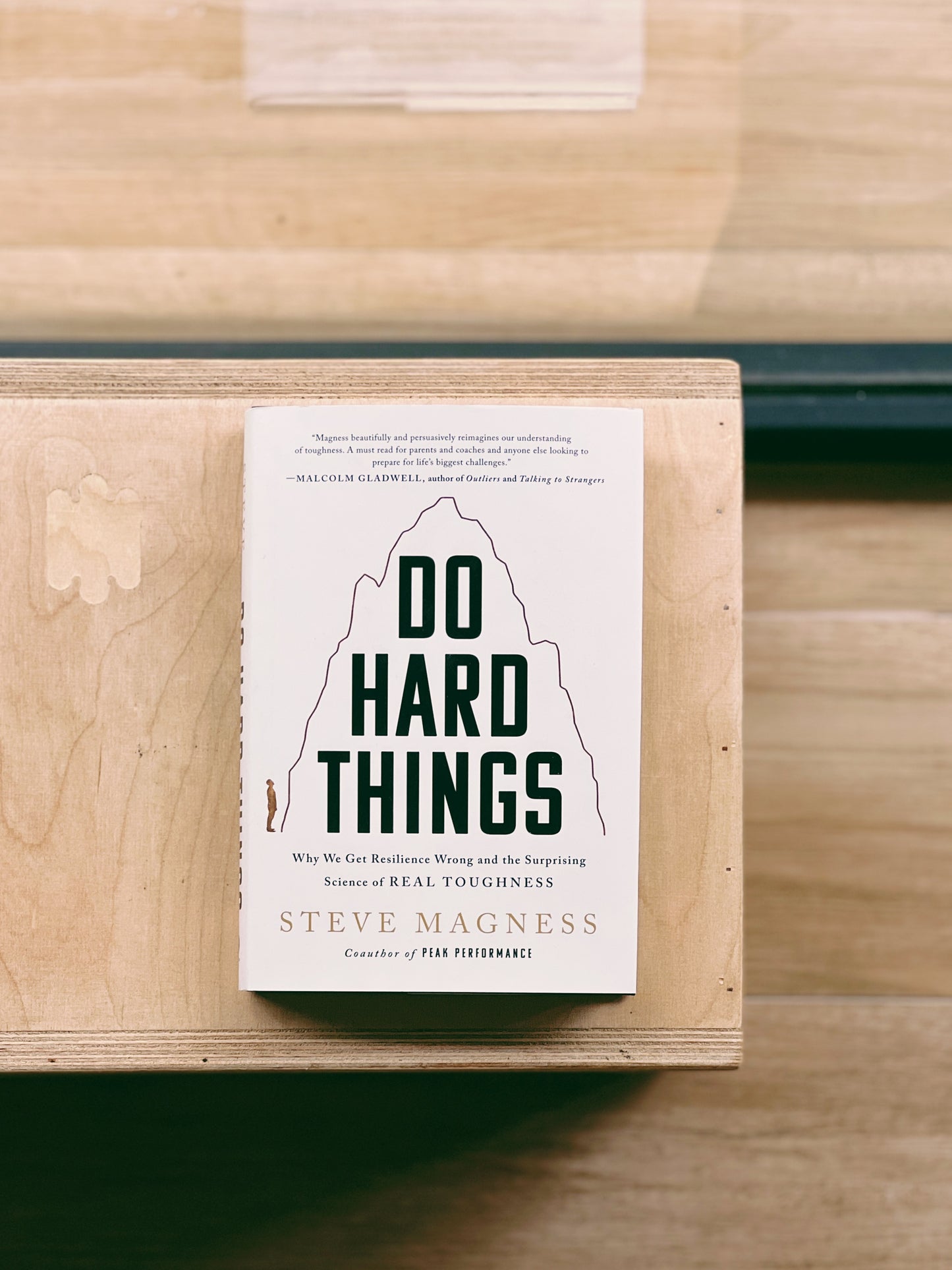 Steve Magness - Do Hard Things: Why We Get Resilience Wrong and the Surprising Science of Real Toughness