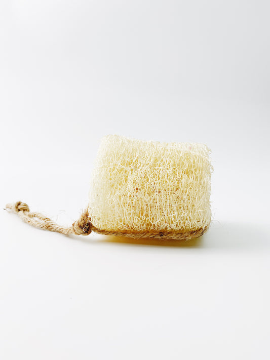日日梘天然絲瓜絡｜Day Day Soap Natural Loofah (3 inch)