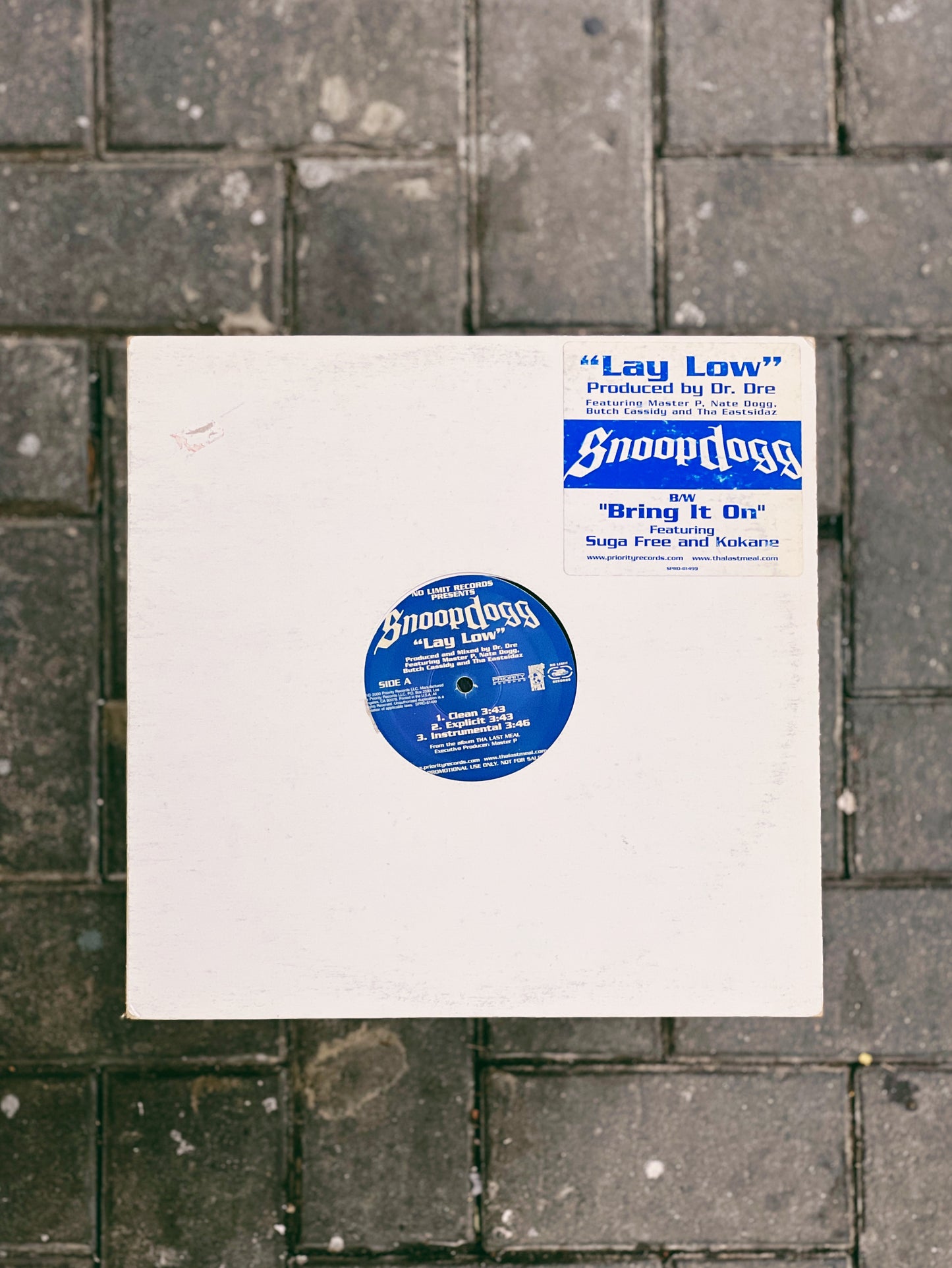 Snoop Dogg - Lay Low 12" Single (Used)