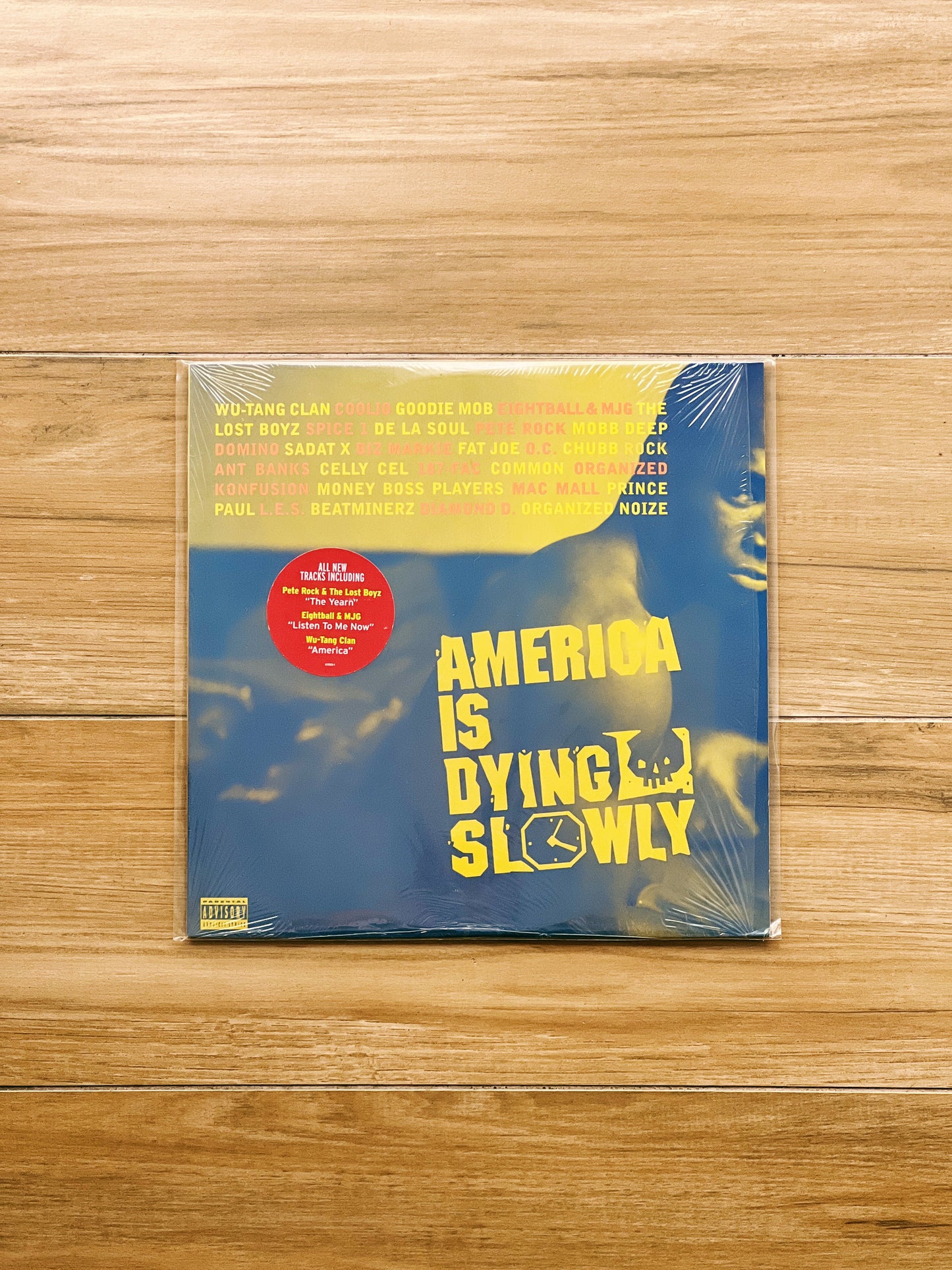 Various – America Is Dying Slowly