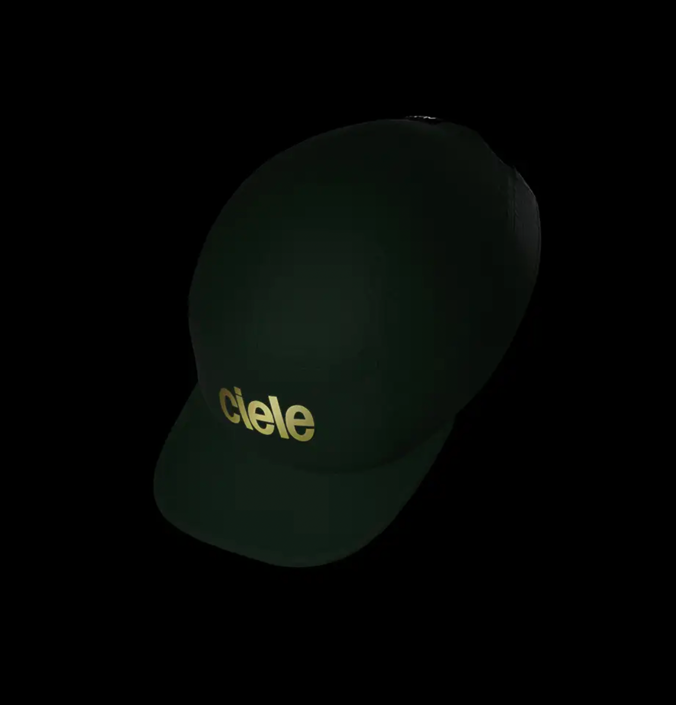 CIELE ALZCap - Standard Corp - Fortune