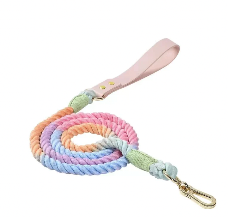 Pawsome Pets - Leather Rope Leash (Bright)