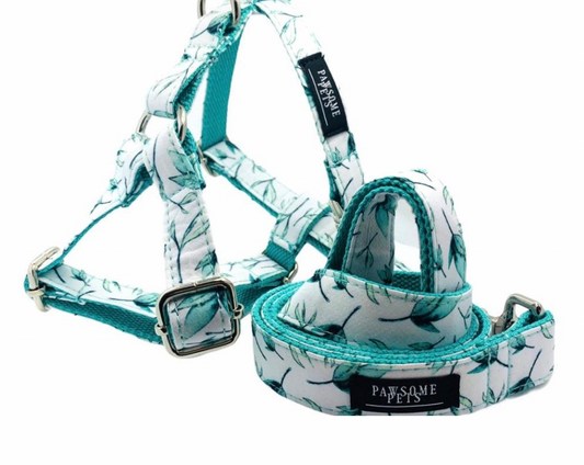 Pawsome Pets -Step in Harness (Mint Leaf) (Bundle Set - 2 Pieces)